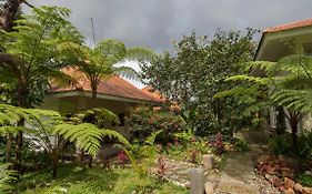 Ara Garden Inn, Accommodation, Yoga Studio & Spa